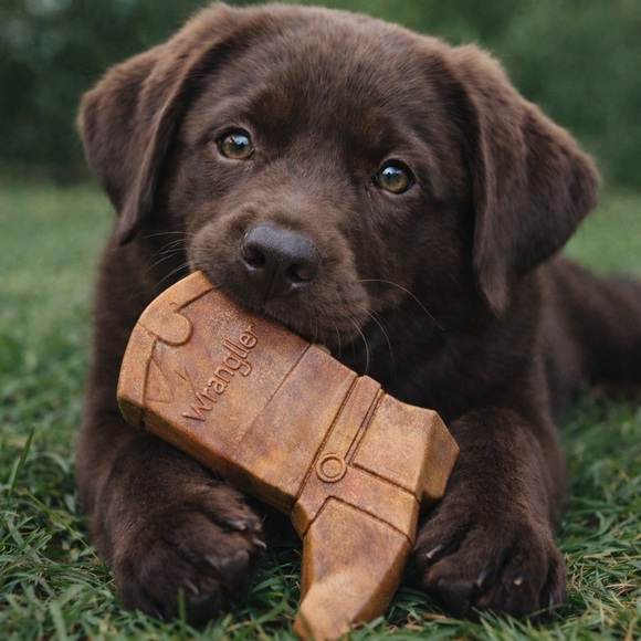 Wrangler Brown Dog Boot Toy - Picture 2 of 3